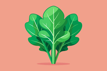 arugula vegetable background