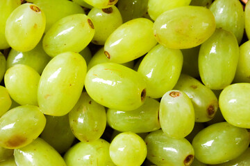 close up of green grapes
