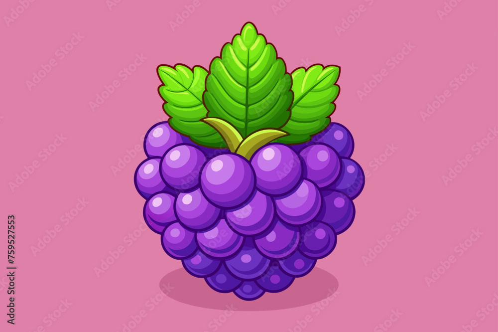 Poster blackberry fruit background is