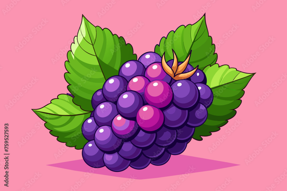 Poster blackberry fruit background is