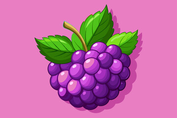 blackberry fruit background is