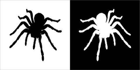 Illustration vector graphics of spider icon