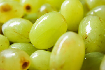 green grapes close up