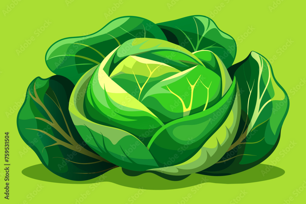 Poster cabbage vegetable background