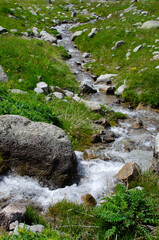 A beautiful mountain river flowing along the slopes of the mountains. the mountain slopes are covered with grass.
