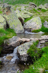 A beautiful mountain river flowing along the slopes of the mountains. the mountain slopes are covered with grass.
