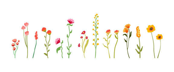 A set of delicate graceful wildflowers on tall stems with foliage. Simple floral elements. Yellow and pink wild growing plants isolated on white background. Flat vector illustration.