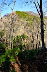 春の西丹沢　箒沢権現山北西ルートより畦ヶ丸
