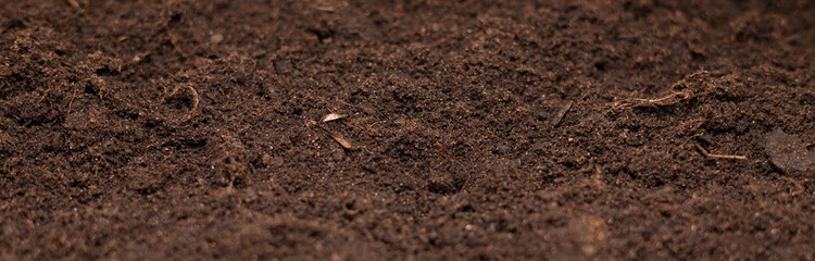 A large, long background of fertile soil and nothing extra. Excellent black soil background...