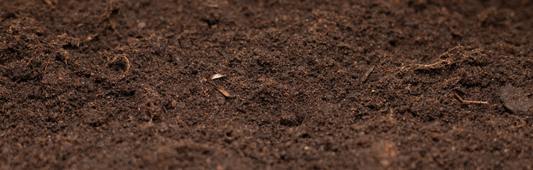 A large, long background of fertile soil and nothing extra. Excellent black soil background suitable for advertising and banners. soil textured background.