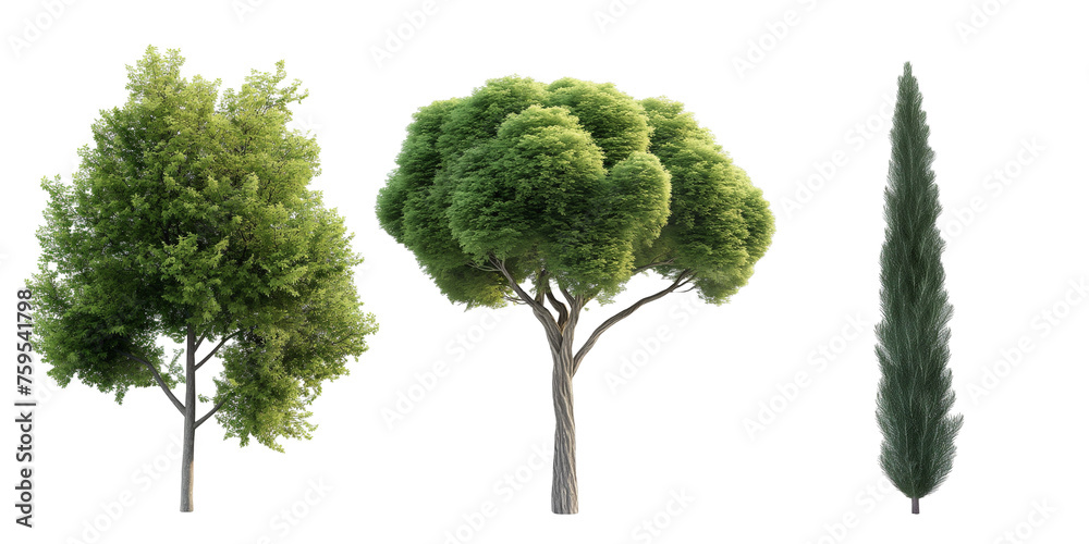 Poster trees isolated on white