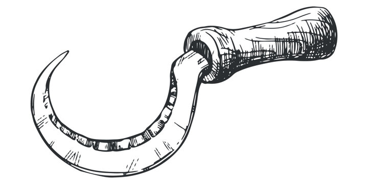 Linear ink drawing of sickle icon. Vector sickle for cutting herb harvest in vintage engraving technique isolated on white background. An ancient rural instrument.