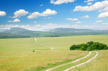 Lane in meadow and deep blue sky. - 759545760