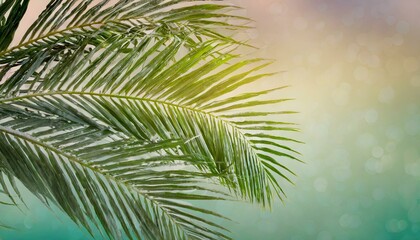 Fototapeta na wymiar Palm Sunday Glow: Gradient Background in Reverent Hues