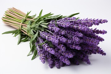 Bouquet of lavender flowers on a white background with copy space, banner for advertising cosmetics.