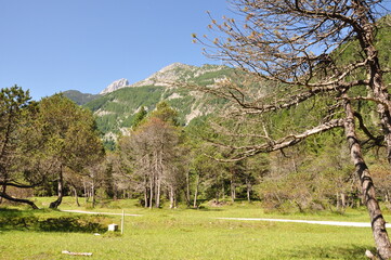 Isarradweg bei Mittenwald