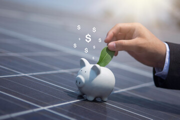 Invest in smart solar panel systems to produce sustainable, safe, and highly efficient resources....