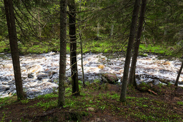 View of the river in Karelia - 759559765