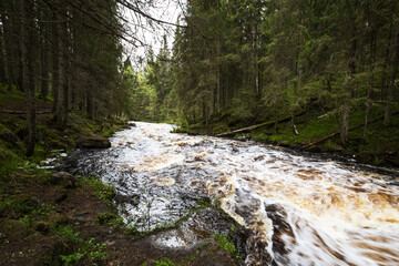 View of the river in Karelia - 759560118