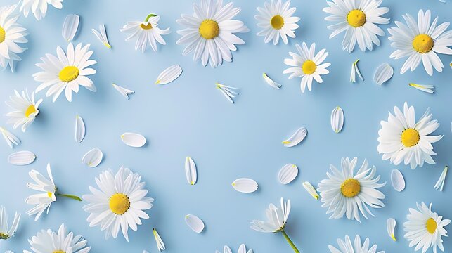 Floral frame background of Plain light blue paper structure background with blank copy space in the middle, on top of the background are smller and bigger daisy blossoms scatterd arround