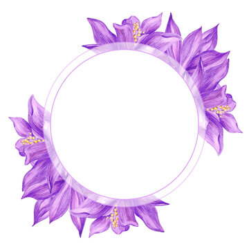 Hand drawn watercolor purple aquilegia flowers round frame border isolated on white background. Can be used for cards, label, invitation and other printed products.