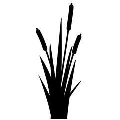 Fototapeta premium Weed Lake Grass Sillhouette