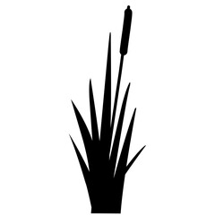 Obraz premium Weed Lake Grass Sillhouette