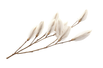 Pile of White Feathers on White Background. on a White or Clear Surface PNG Transparent Background.