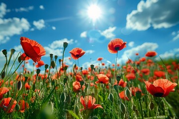 A field full of poppies under sunny blue sky. AI generative