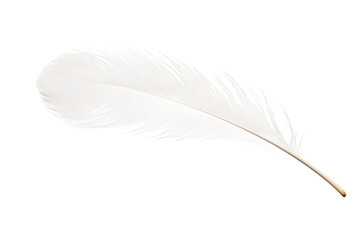White Feather on White Background. on a White or Clear Surface PNG Transparent Background.