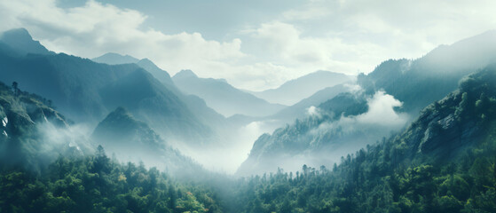 A view of a mountain range covered in trees and fog  - obrazy, fototapety, plakaty