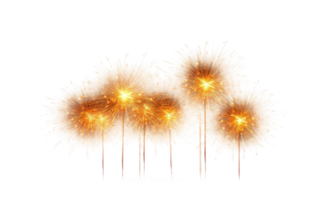 Group of Fireworks Exploding on White Background. on a White or Clear Surface PNG Transparent Background.