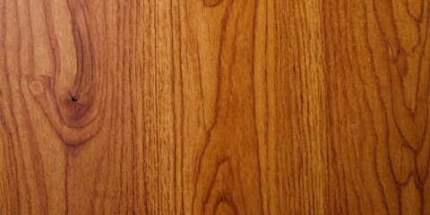 Wood veneer for furniture texture background
