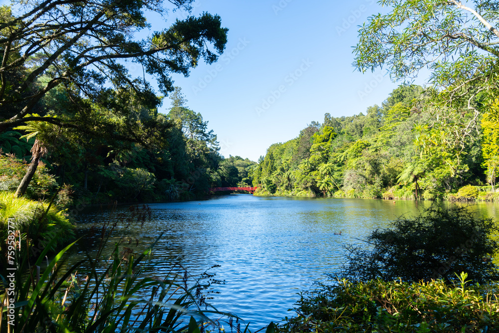 Poster Scenic lake and native bush landscape