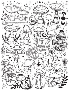 Mushrooms mystical magical graphics hand drawn moon stars tarot intuition fly agarics toadstools poisons set background stickers coloring