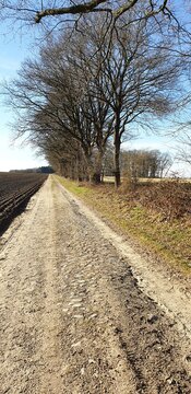 Feldweg zum Bocksberg, Niedersachsen