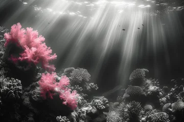  A monochrome underwater scene transforming into a vibrant coral reef, showcasing the diversity of marine life. Concept of aquatic splendor. Generative Ai. © Sebastian