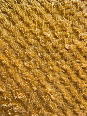 texture of vivid plain yellow fabric