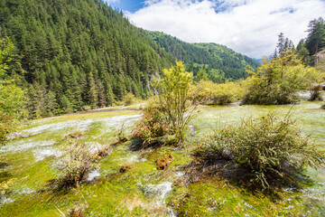 Beautiful scenery of mountains and flowing water in Jiuzhaigou Valley, Sichuan, China