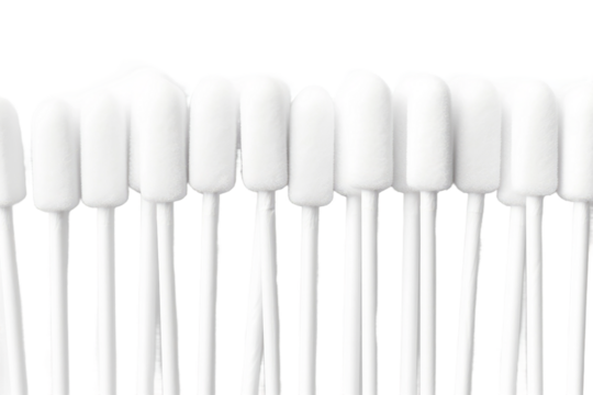 Row of Cotton Buds on a White or Clear Surface PNG Transparent Background.