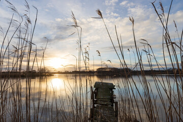 Romantic lake scene with wooden jetty and reed. at sunset in winter.