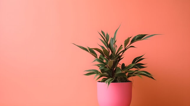 plant on pink background with place for text
