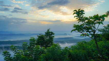 Misty morning fog over the mountain, mini Ooty Malappuram, Kerala.