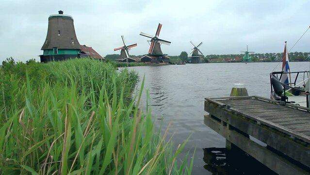 Paisaje con movimiento de c&aacute;mara de plantas acu&aacute;ticas meci&eacute;ndose por el viento a embarcadero a orillas del r&iacute;o Zaan, molinos de viento centenarios holandeses funcionando en Zaanse Schans