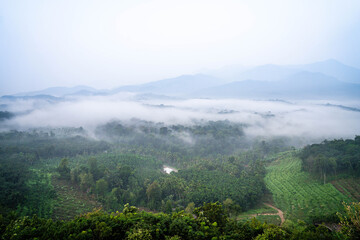 Oam Kurishupara Nilambur is one of the hidden treasures in Malappuram, which is a treasure trove of...