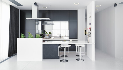 modern kitchen black and white interior.