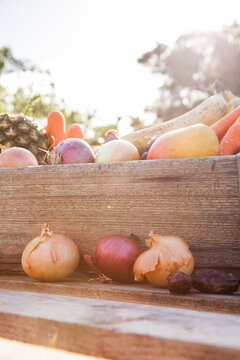Fresh fruit and veggies, onions and bananas in box of produce