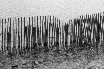 black and white fence