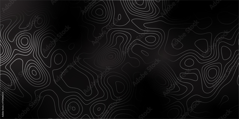Poster Abstract outline topographic contour map background. Panorama view white wave curve lines banner background design. Vector illustration. image grid geographic relief topographic Cartography Background
