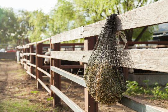 Haynet full of grass on paddock fence